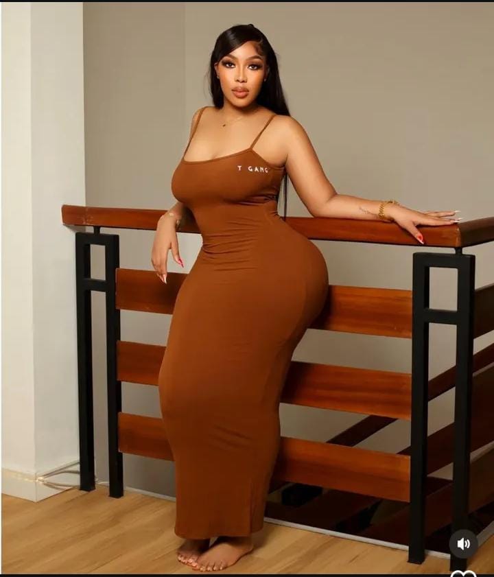 T-Gang Zae Long Dress Brown All Sizes